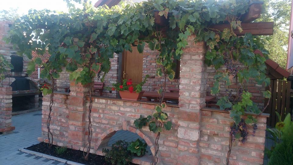 Apartment U Pavelku Mutěnice Eksteriør billede